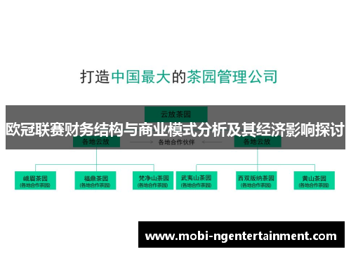 欧冠联赛财务结构与商业模式分析及其经济影响探讨
