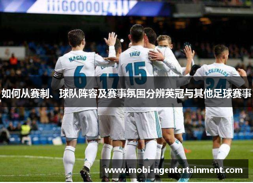 如何从赛制、球队阵容及赛事氛围分辨英冠与其他足球赛事 如何从赛制、球队阵容及赛事氛围分辨英冠与其他足球赛事