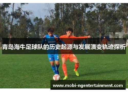 青岛海牛足球队的历史起源与发展演变轨迹探析 青岛海牛足球队的历史起源与发展演变轨迹探析