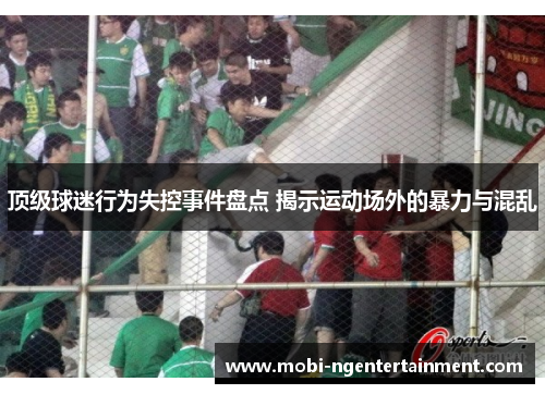 顶级球迷行为失控事件盘点 揭示运动场外的暴力与混乱